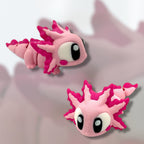 Pet Bundle - Pocket Pals