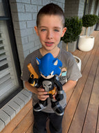 Sonic Punisher Character