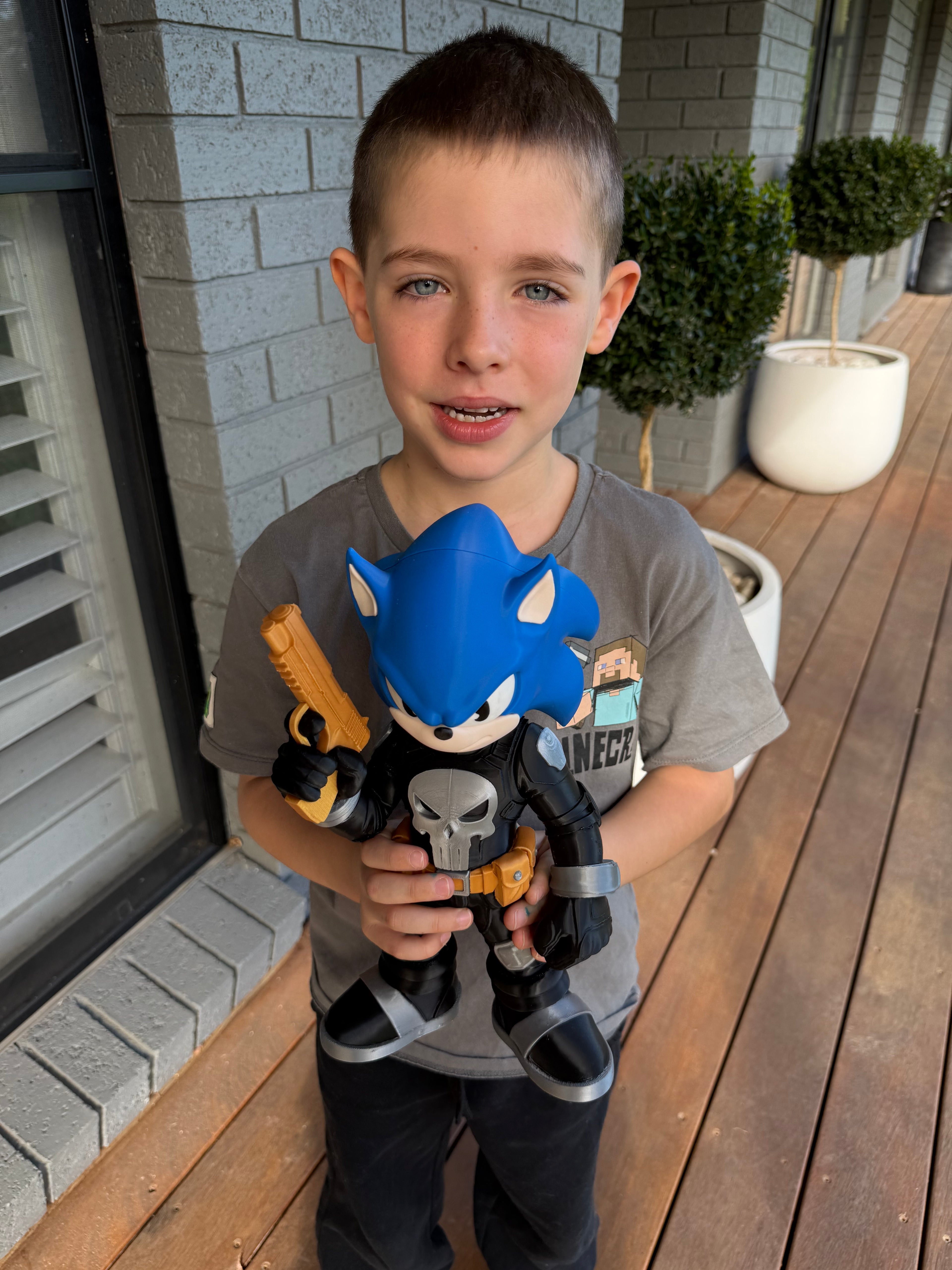Sonic Punisher Character