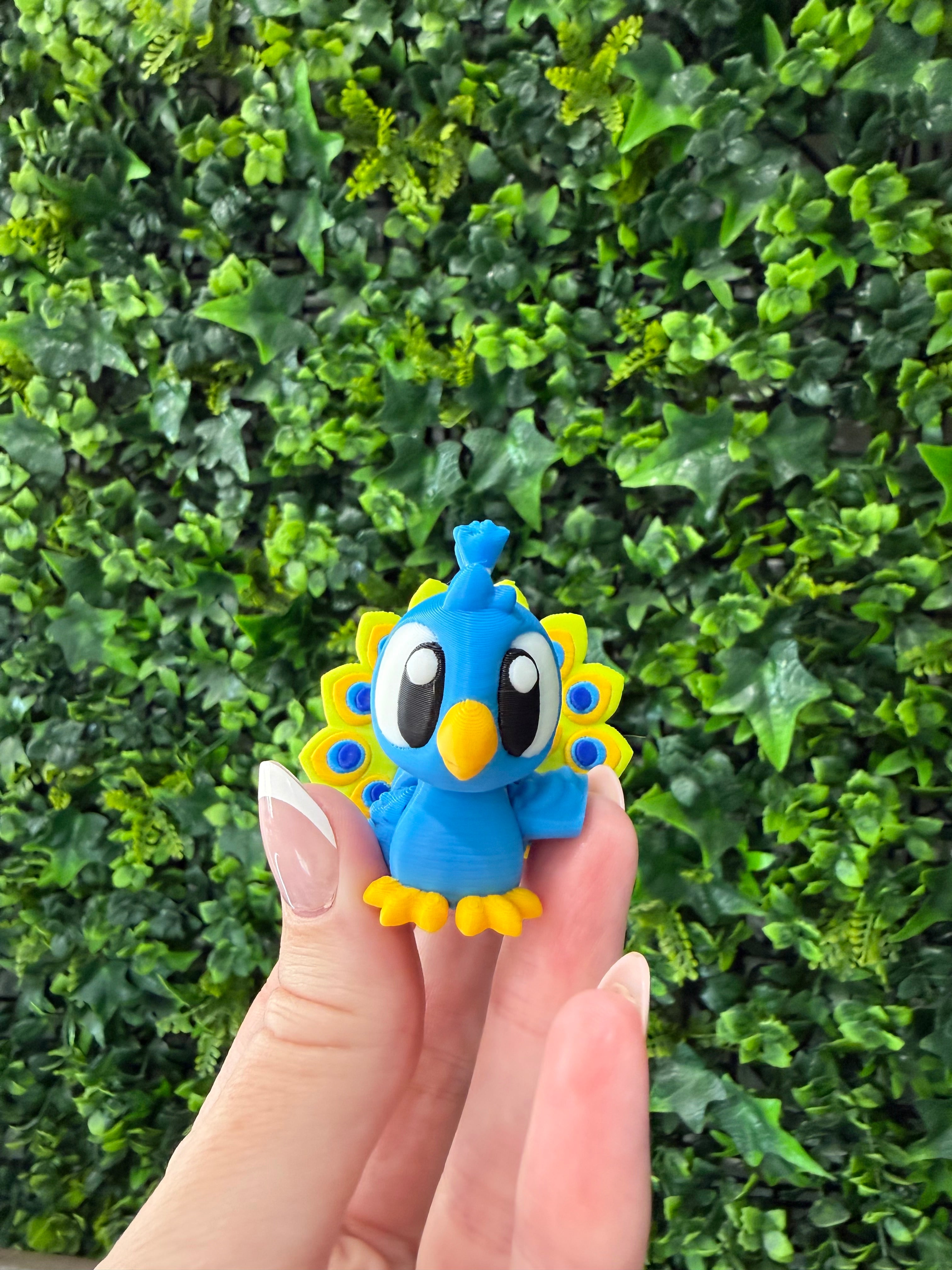 Flexi Peacock - Pocket Pal (Small)