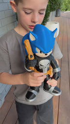 Sonic Punisher Character