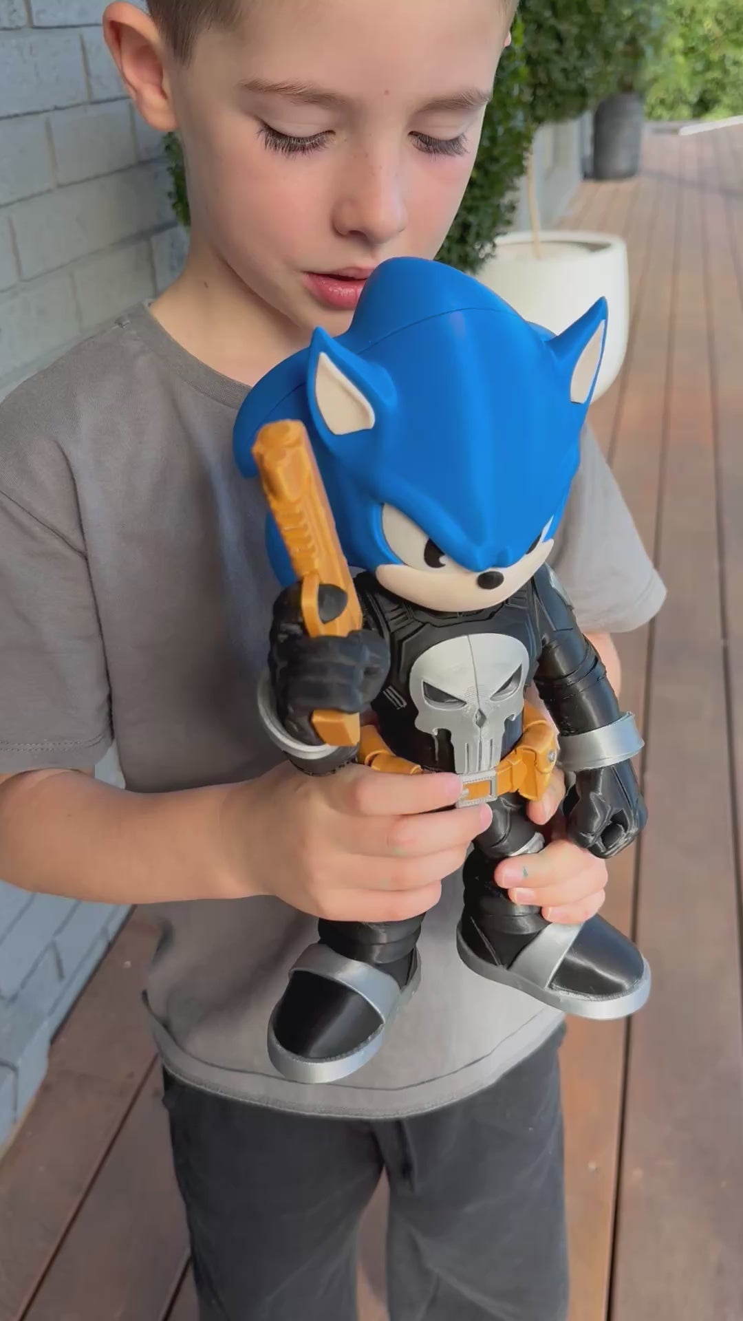 Sonic Punisher Character